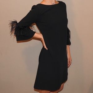 Tahari feathered sleeve boutique dress